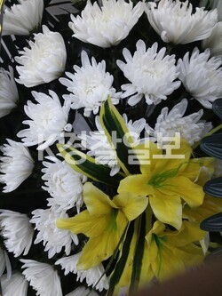 석곡농업협동조합장례식장 이미지